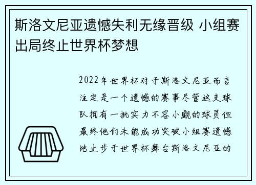 斯洛文尼亚遗憾失利无缘晋级 小组赛出局终止世界杯梦想